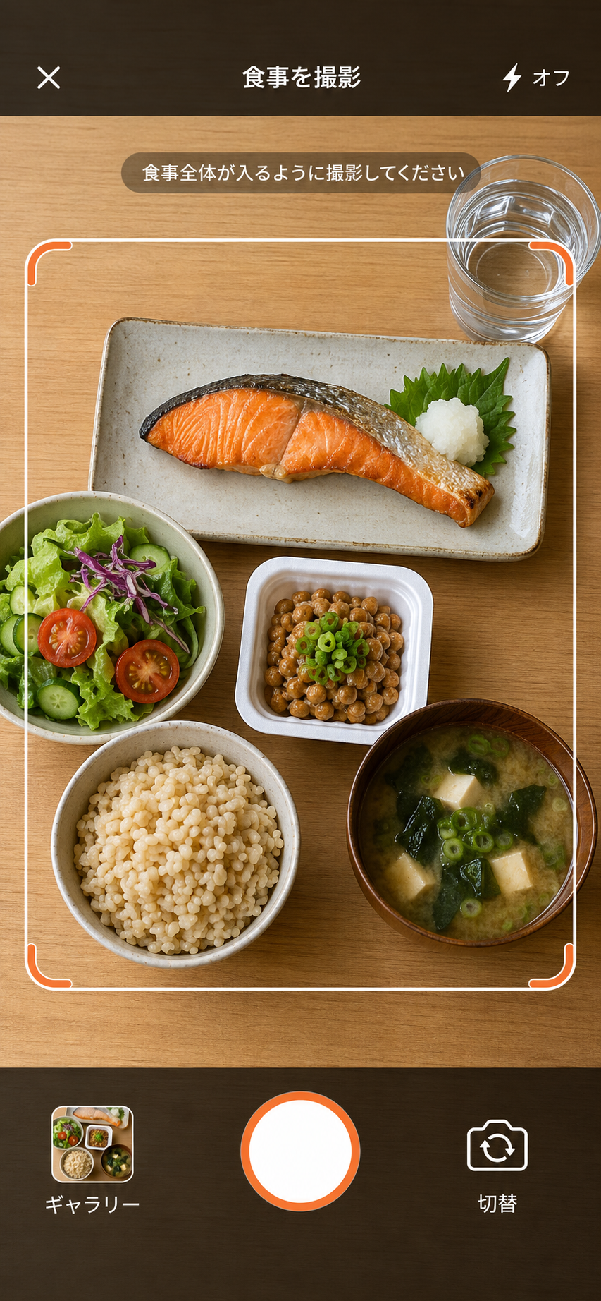腸naviの食事撮影画面。食事全体を撮影するガイドを表示